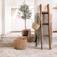 Canasto Papero Manila 50x60