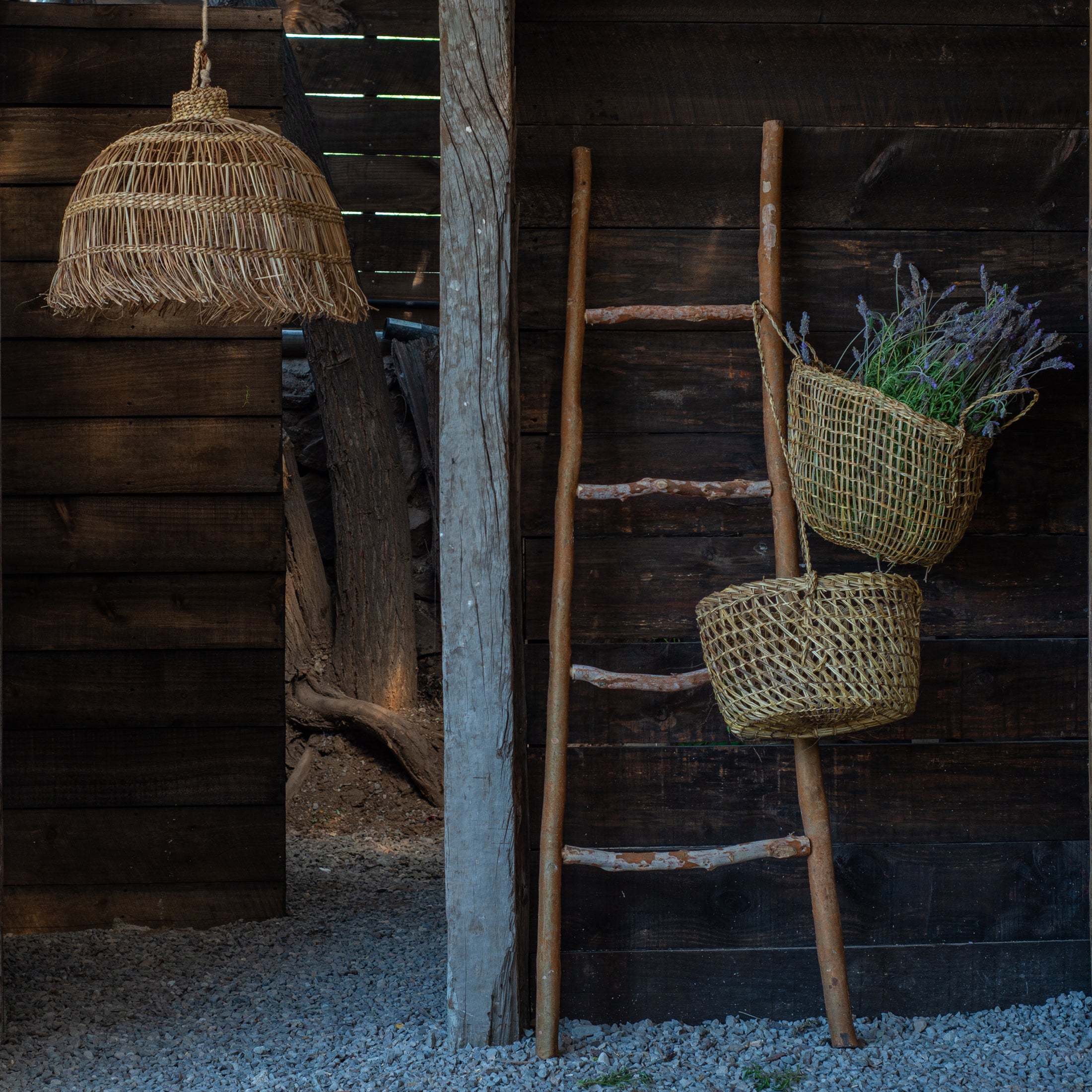 Lámpara Colgante Eduvina S