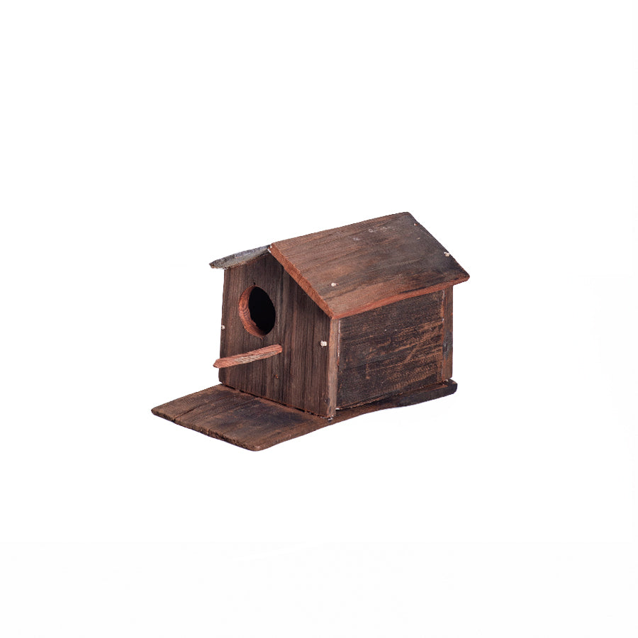 Casita de Pájaro Martín Pescador