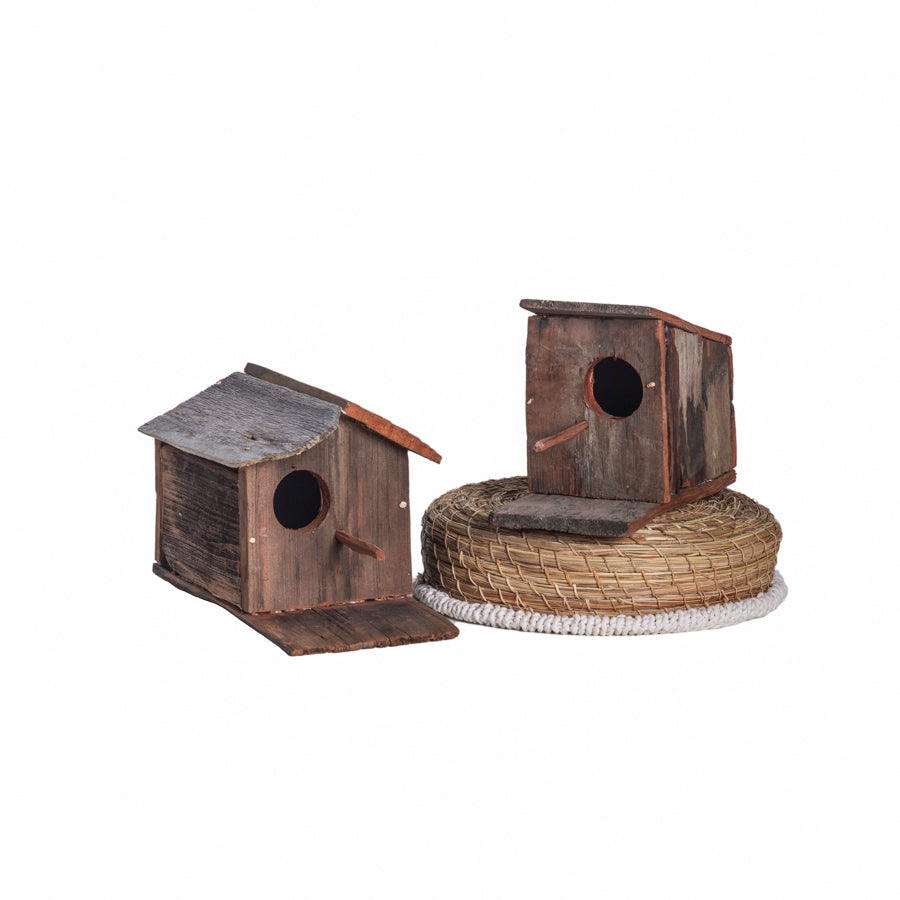Casita de Pájaro Martín Pescador